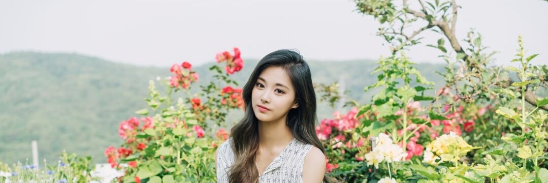 ply_sng's profile banner image
