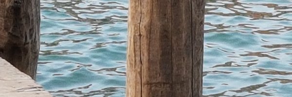 thinktankSFG Profile Banner
