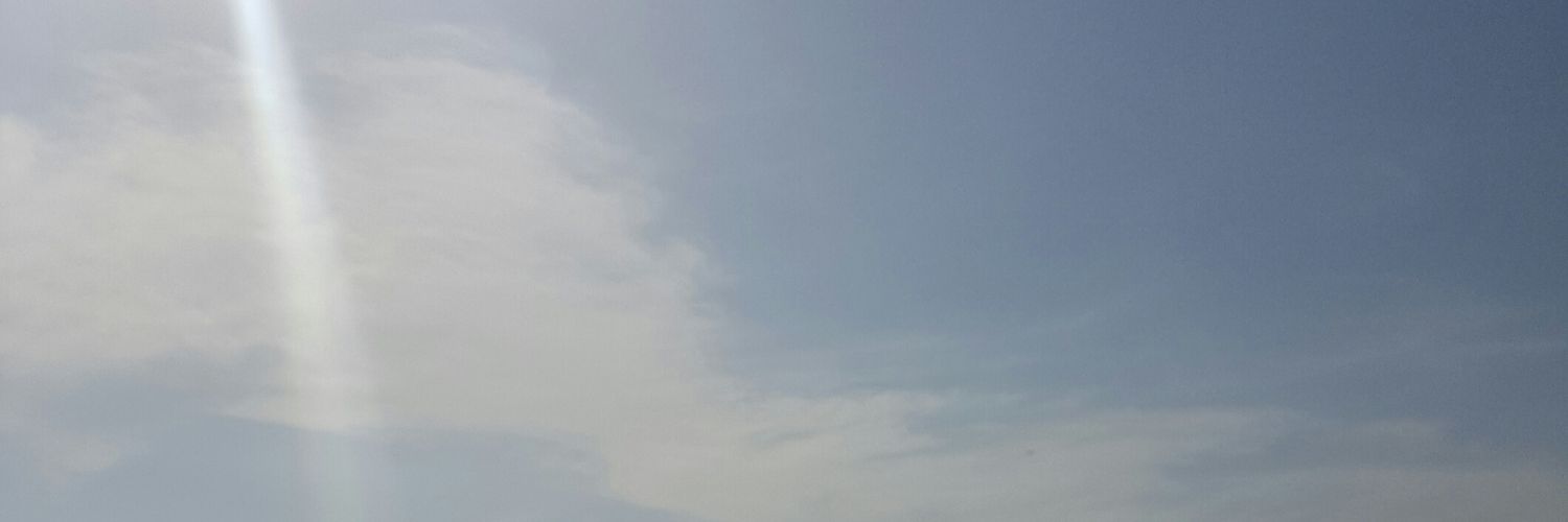 alinacaia's profile banner image