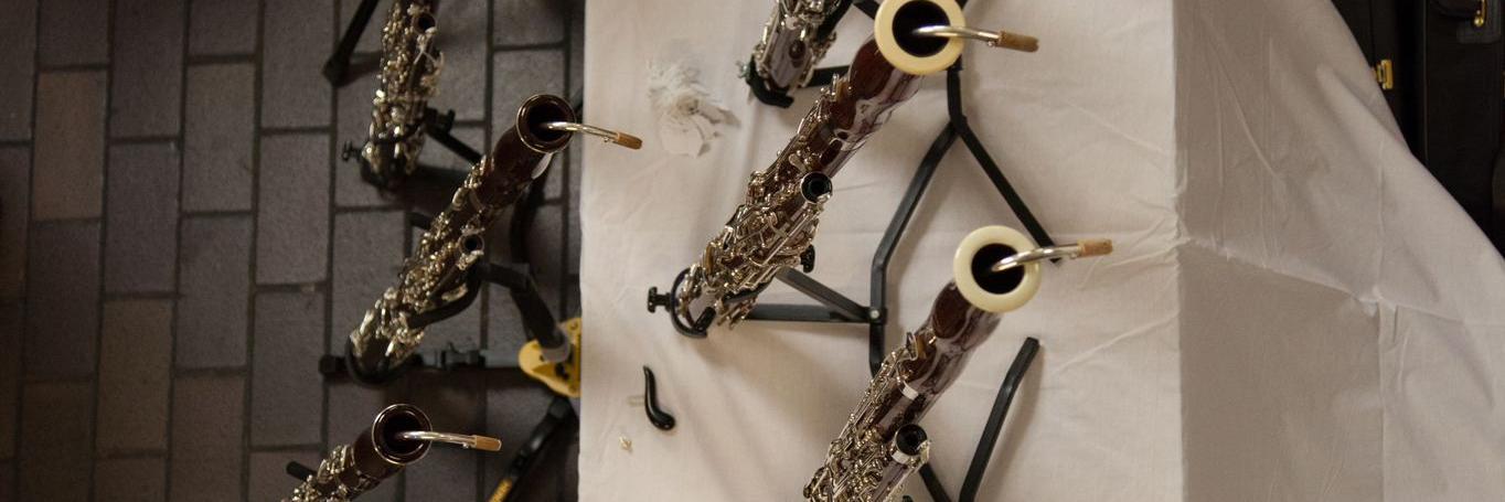 BIG Double Reed Day banner