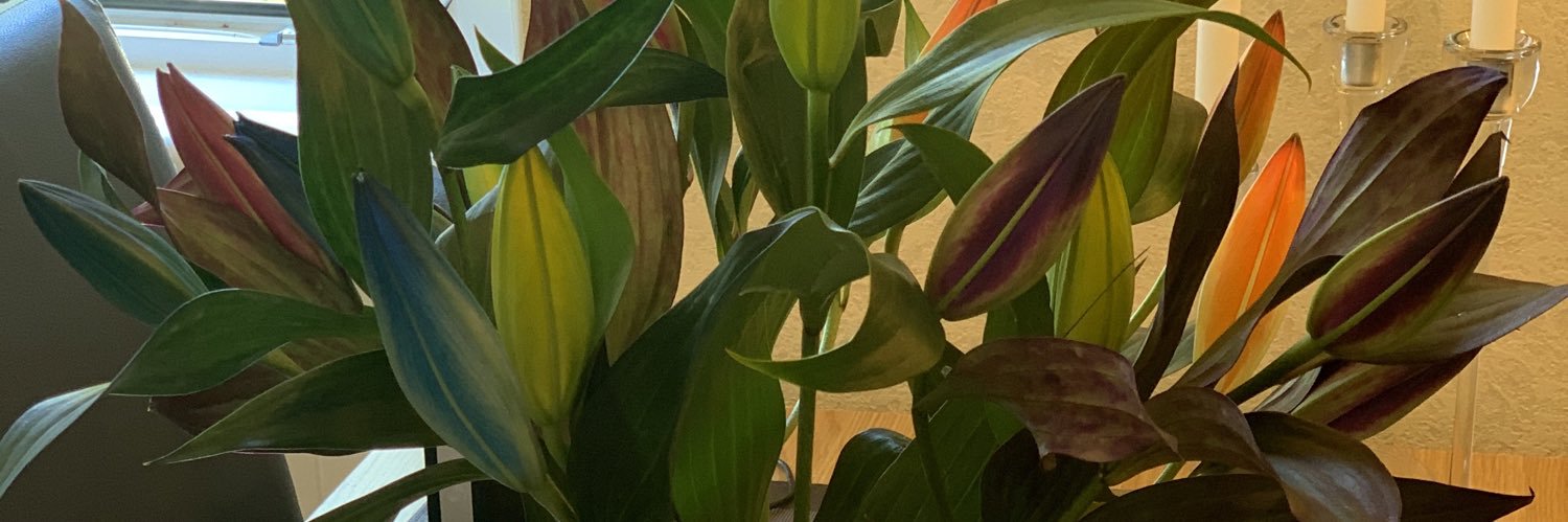 Paris Greiner banner