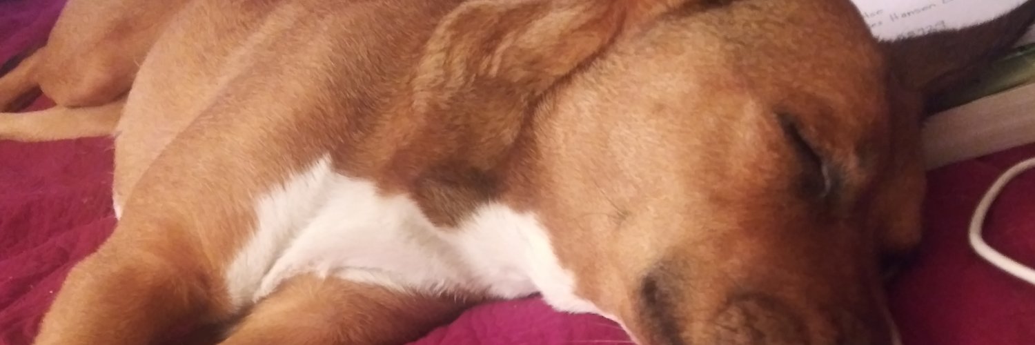 theheatherjay's profile banner image