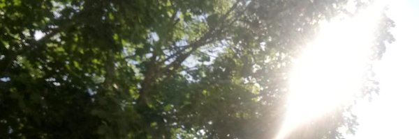 MistHoch3 Profile Banner