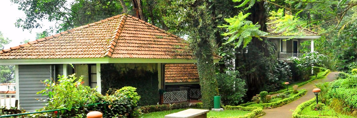 TalltreesMunnar's profile banner image