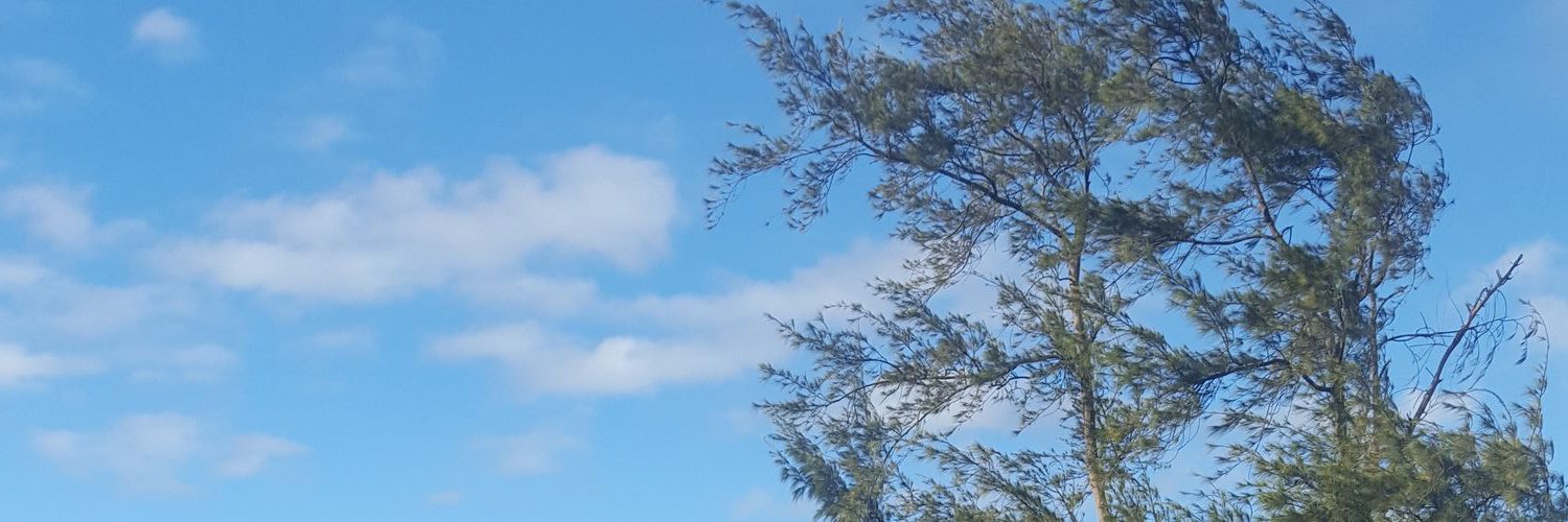 Lindster4's profile banner image