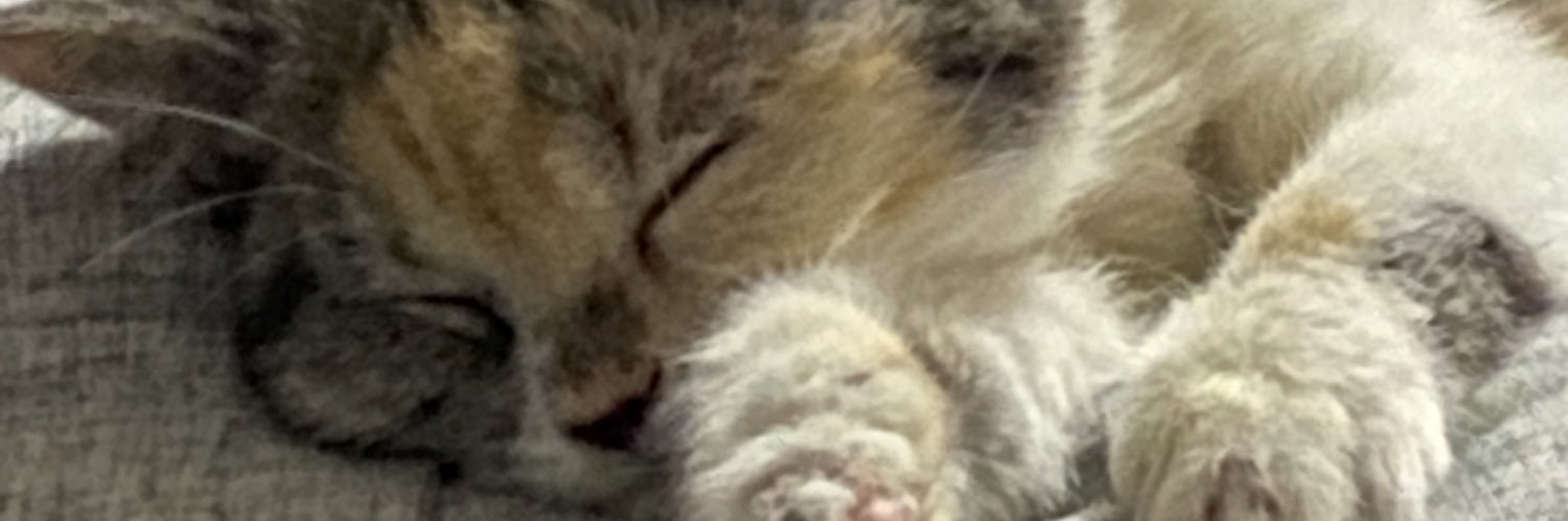 heriddd99's profile banner image