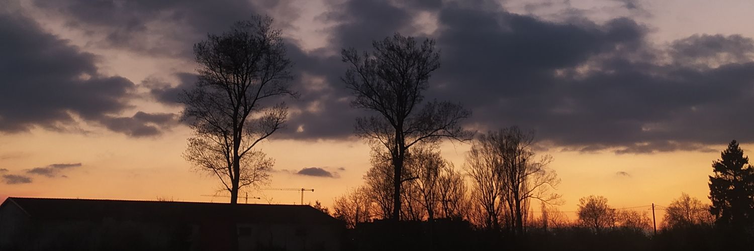 hernandezigone's profile banner image