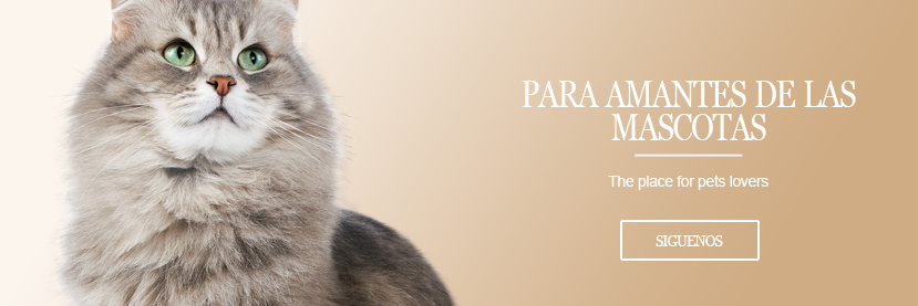 Pets_yMas's profile banner image