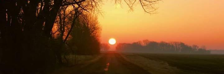 StarSevenShek banner