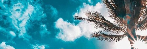 CurtDenz Profile Banner