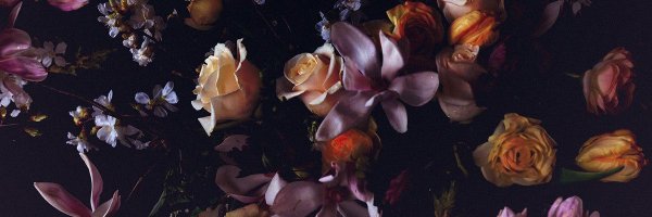 ruperrrttt Profile Banner