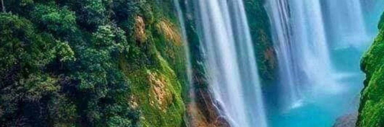 nyreach1's profile banner image
