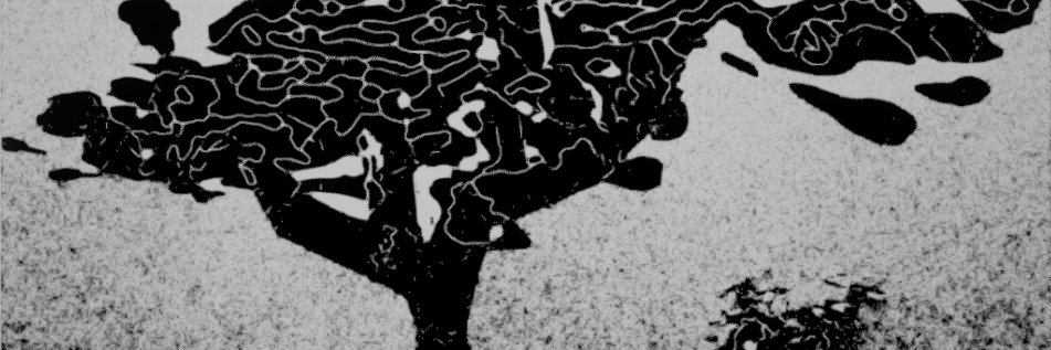 zappablamma's profile banner image