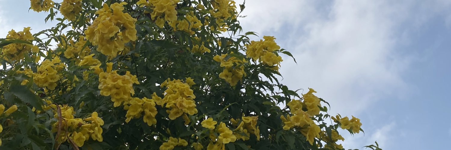Wjdan11__'s profile banner image