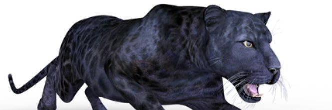 gsb_001's profile banner image
