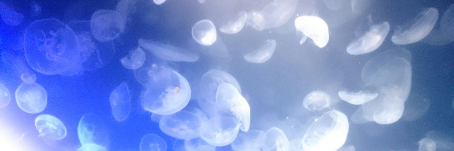 amakiya11's profile banner image