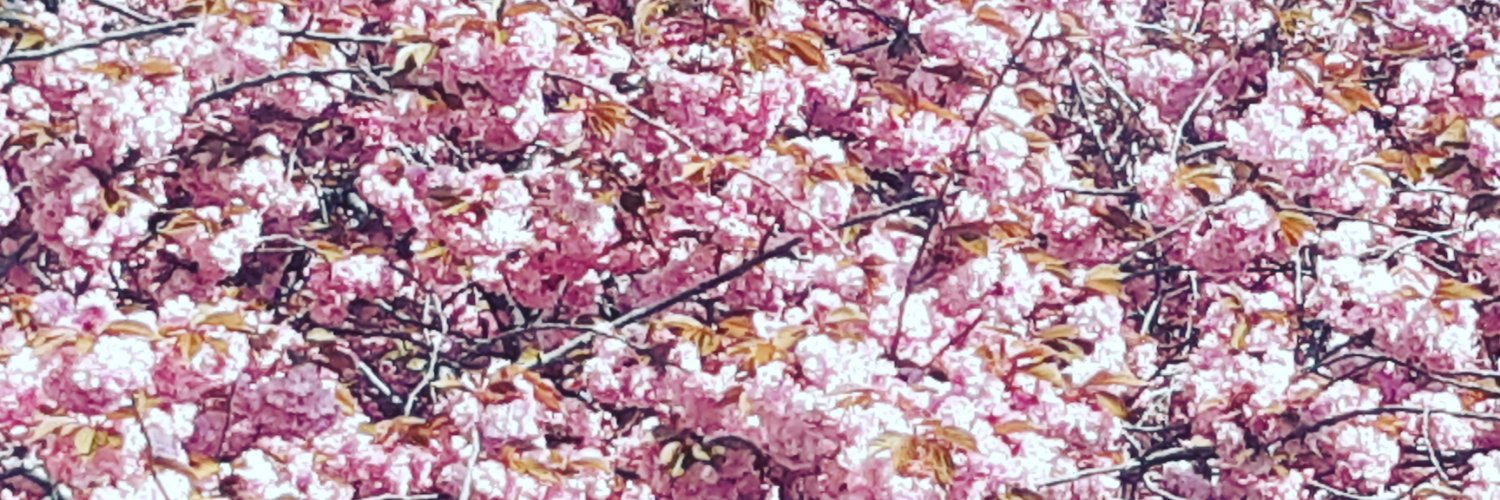 BoukjevdBerg's profile banner image