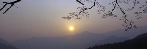 ManikMajumdar's profile banner image