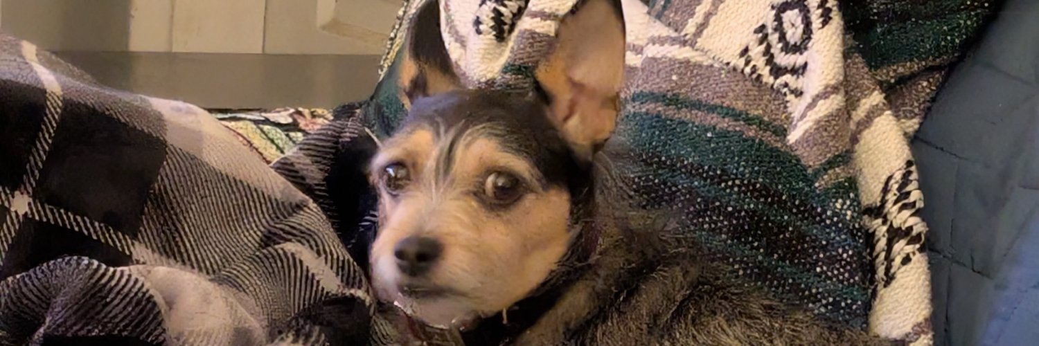Janiebt's profile banner image