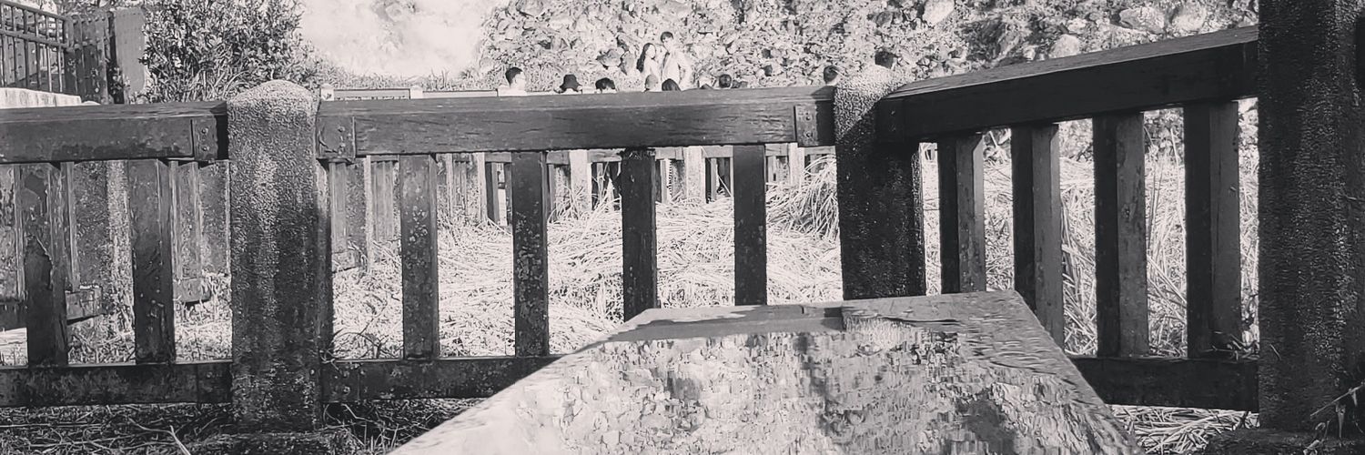 z1111454's profile banner image