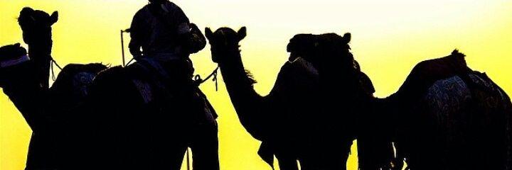 56J_s's profile banner image