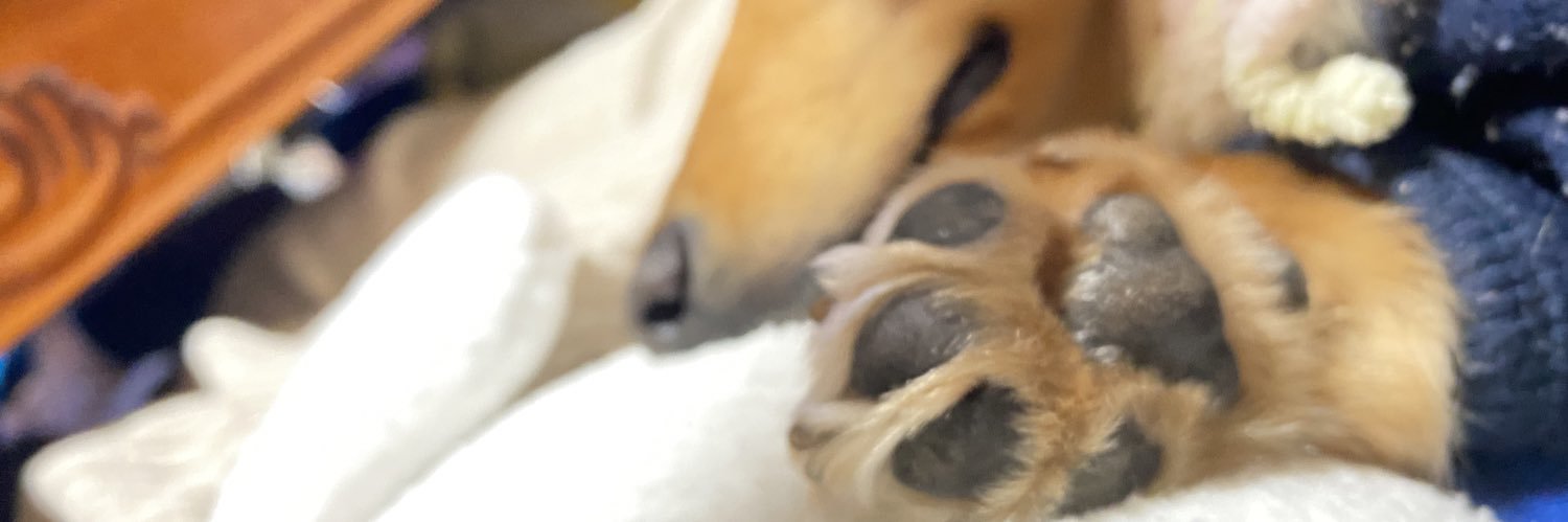 ckbsk05's profile banner image