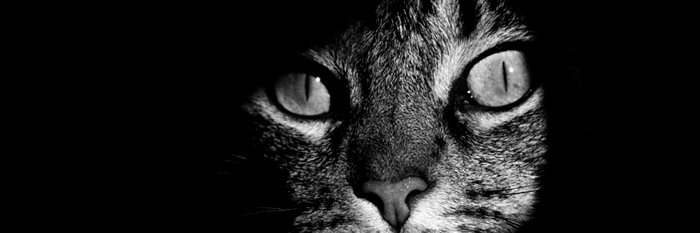rubncg's profile banner image