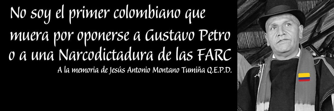 nelson fernandez bed banner