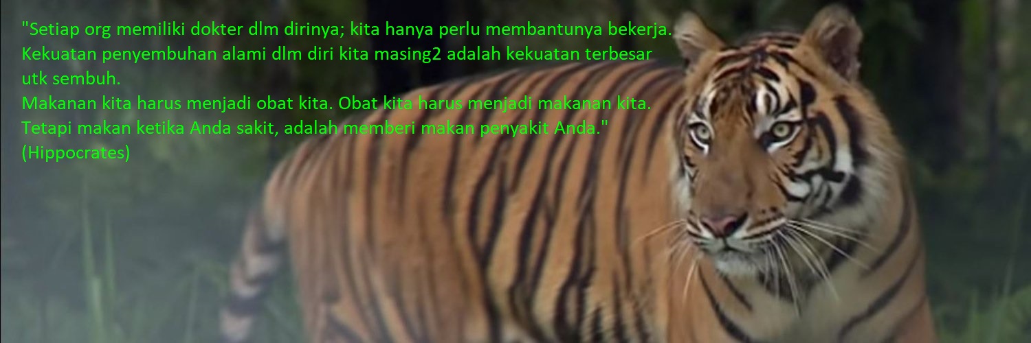Fokus pada dalang & enablernya banner