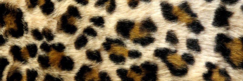 Angela Holcek (she/her) banner