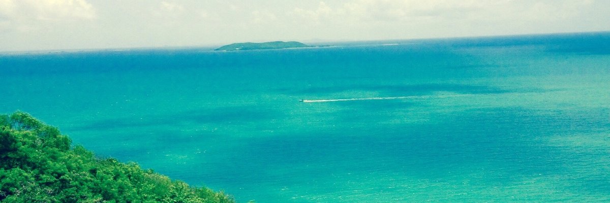 SKBrantley's profile banner image