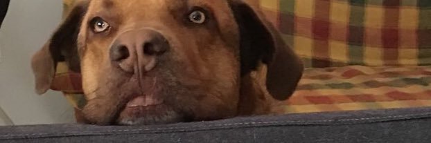 🙃 banner
