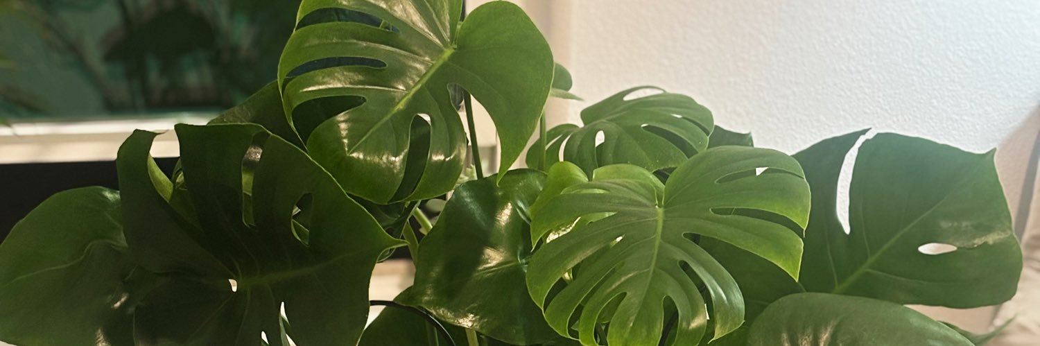 MandyMayhew_'s profile banner image