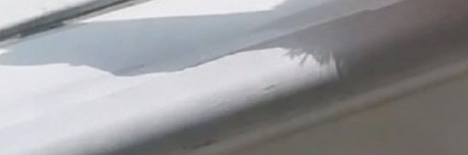 delicaae's profile banner image