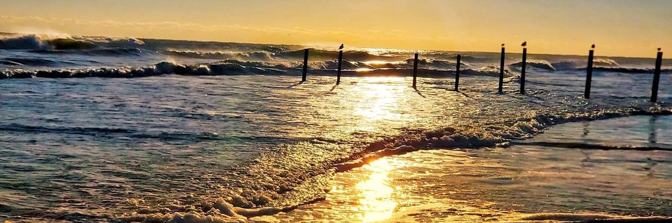 Andrea Jackson TV 📺🇺🇸 banner