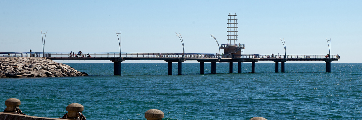 Rotary Burlington Central banner