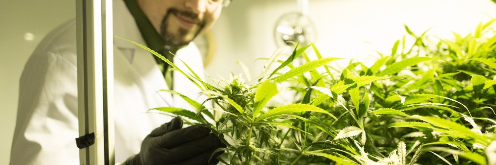 AEssenseGrows banner