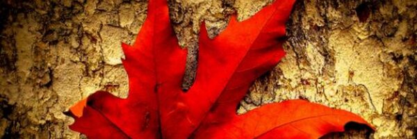 sunilJbhat Profile Banner