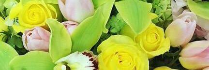 malikftmarshall's profile banner image