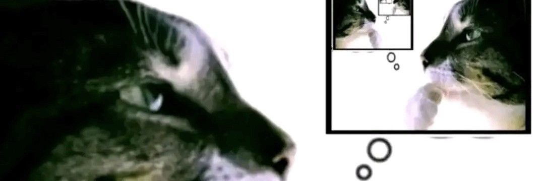 alicrodr's profile banner image