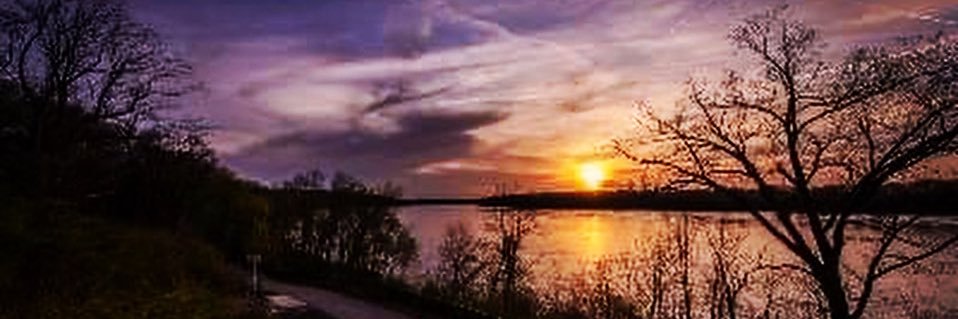 Tracydnn's profile banner image