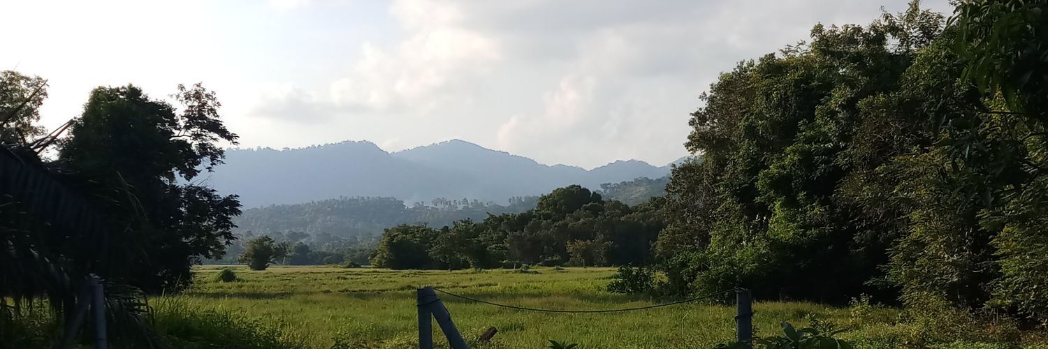 xlmhee's profile banner image