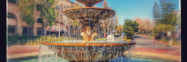 CamelPlain Profile Banner