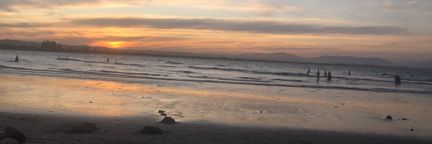 DavidSheils's profile banner image