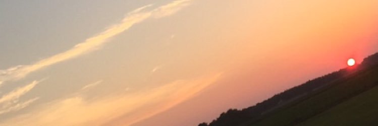 _NancyHalloran's profile banner image
