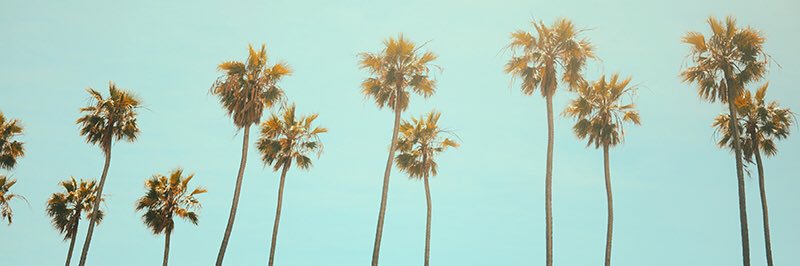 beverlygrovela's profile banner image