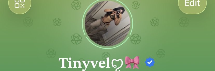 tinyvelftt's profile banner image