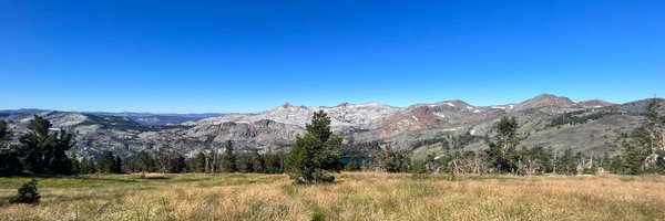 rapidneutron Profile Banner