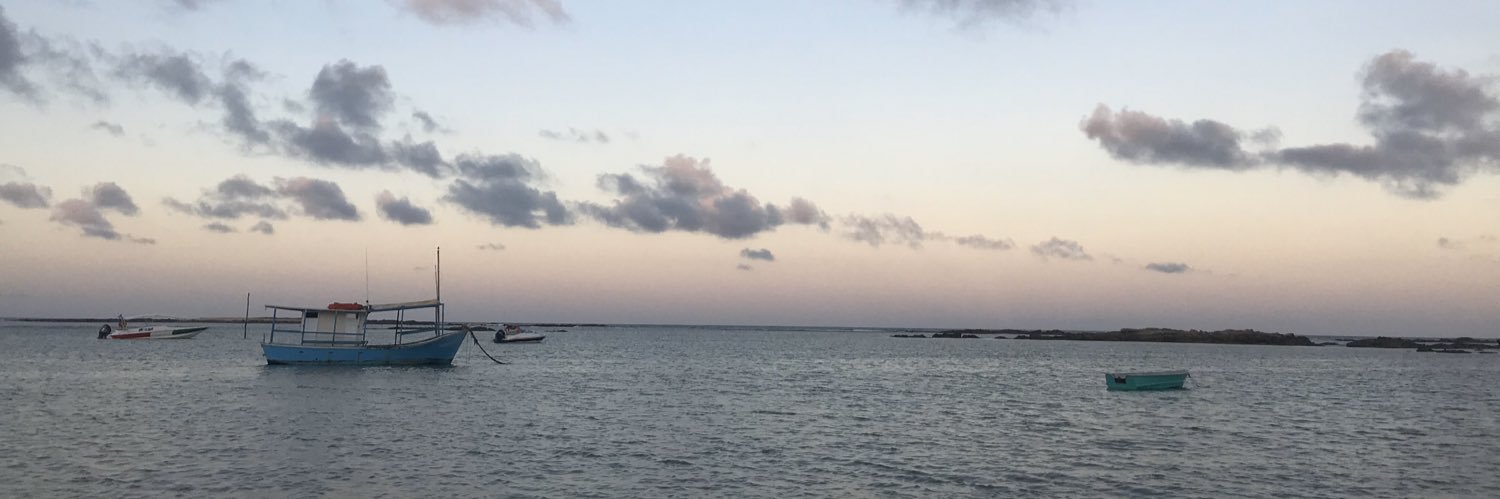 luzchamme's profile banner image