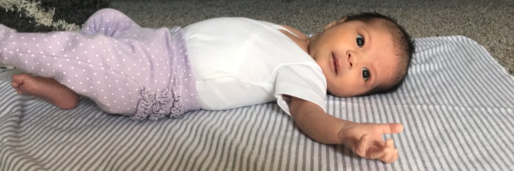 MollybHubbard's profile banner image